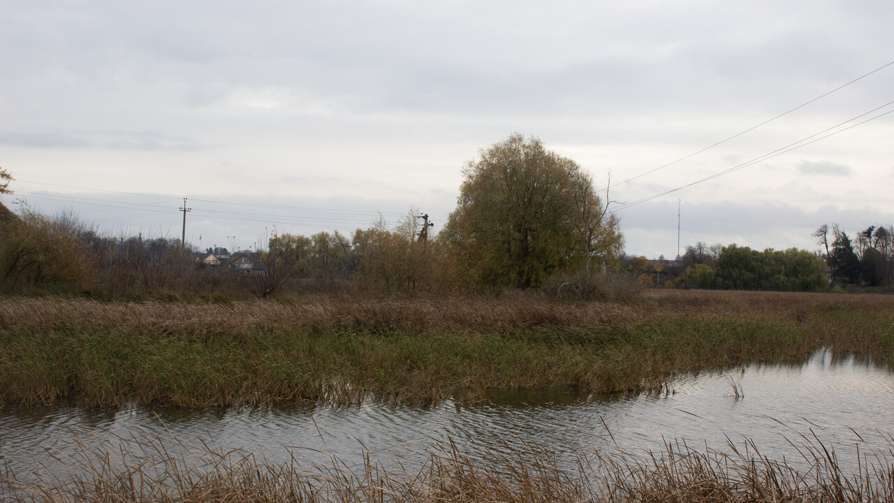 Рекреаційна зона на березі водойми