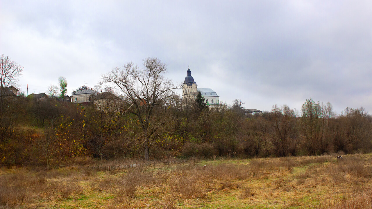 01-Mykulyntsi_012.jpg