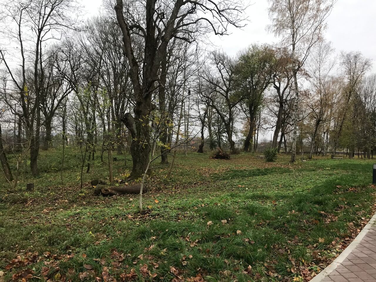 1-3-gallery-park-improvements_2.jpg
