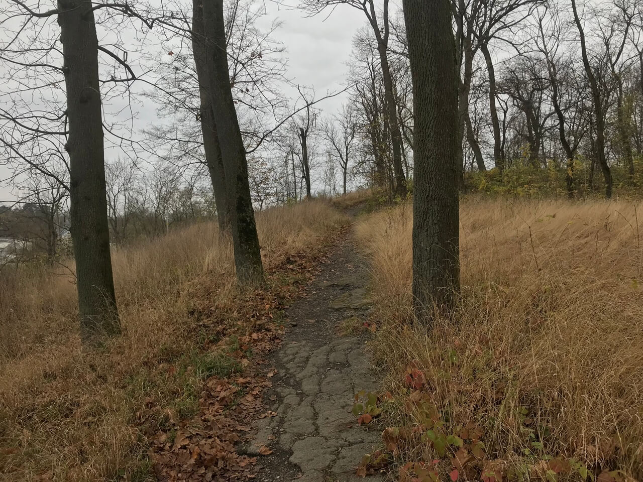1-3-gallery-park-improvements_4.jpg